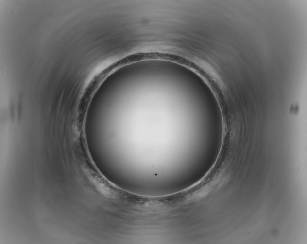 X0000092000974200709061435