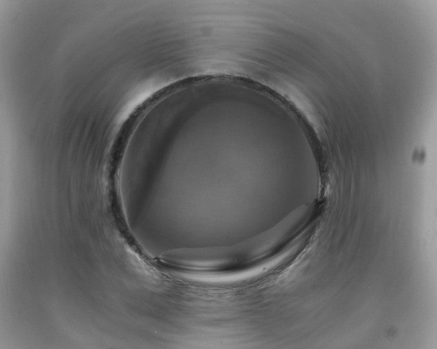 X0000092000975200709061435