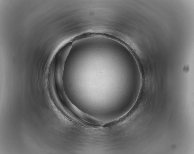 X0000092000976200709061435