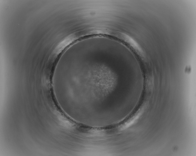 X0000092000977200709061435