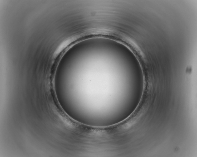 X0000092000978200709061435