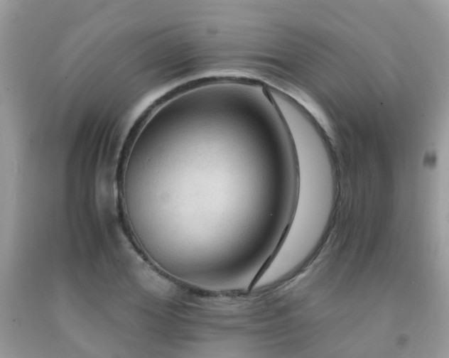 X0000092000980200709061435