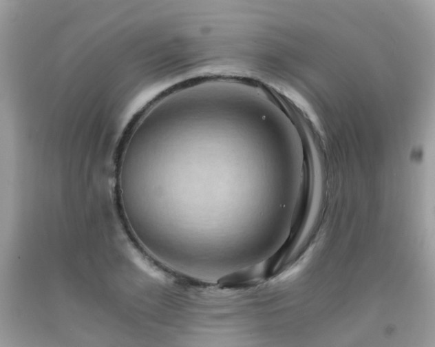 X0000092000981200709061435