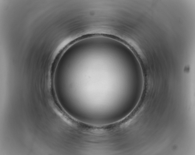 X0000092000982200709061435