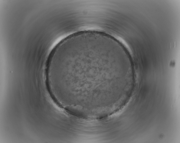 X0000092000983200709061435