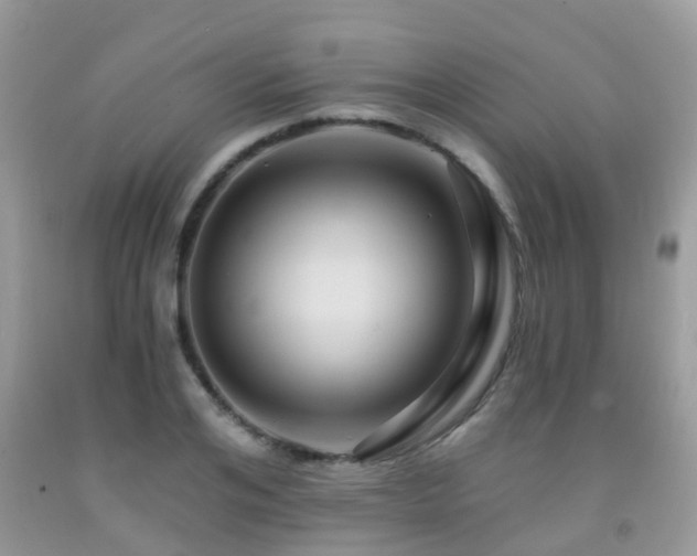 X0000092000984200709061435