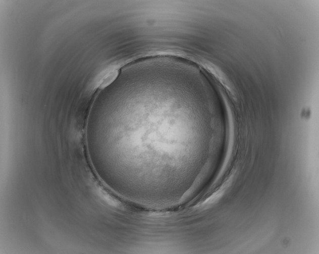 X0000092000985200709061435