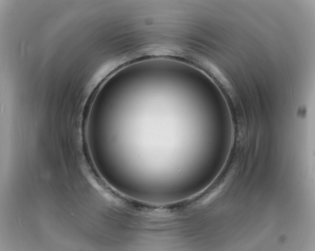 X0000092000986200709061435