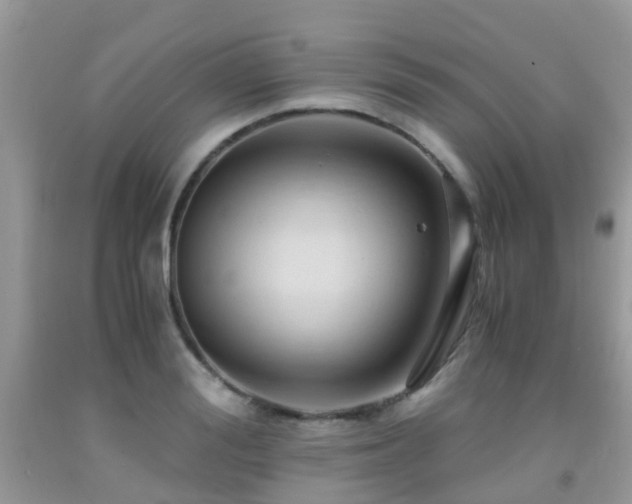 X0000092000988200709061435