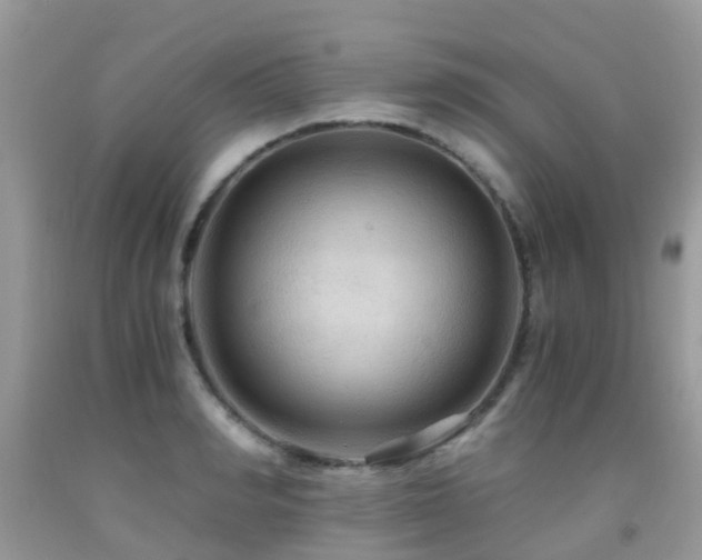 X0000092000990200709061435