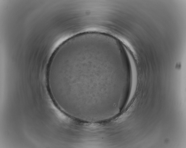 X0000092000991200709061435