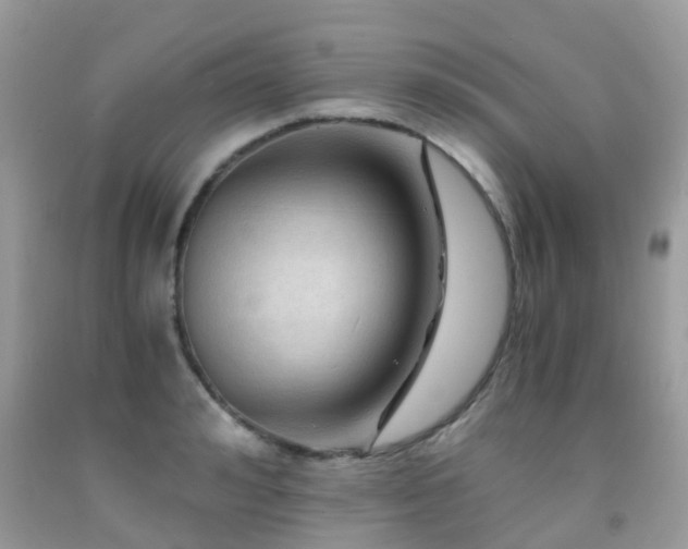 X0000092000992200709061435