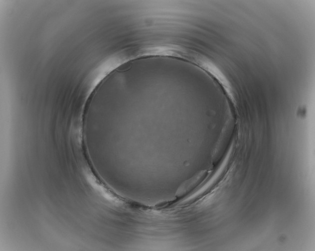 X0000092000994200709061435