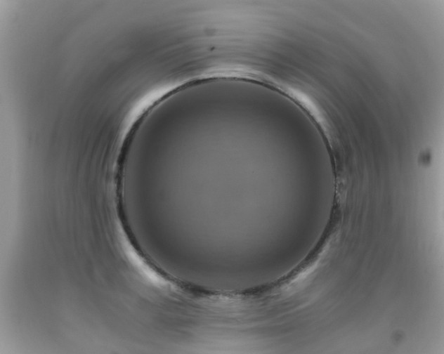 X0000092000995200709061435