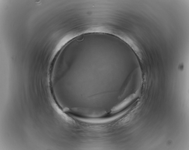 X0000092000998200709061435