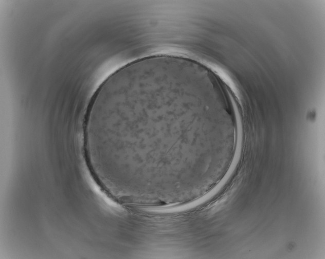 X0000092000999200709061435