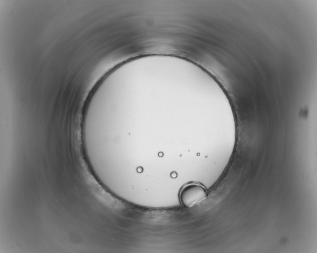 X0000092001000200709061435