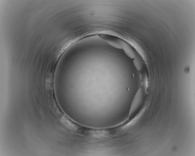 X0000092001001200709061435