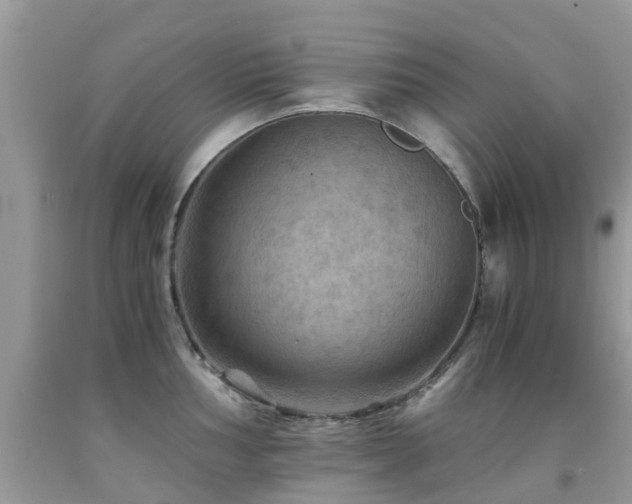 X0000092001002200709061435