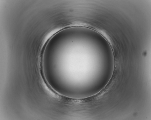 X0000092001003200709061435