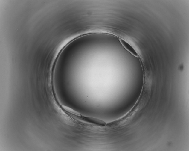 X0000092001004200709061435