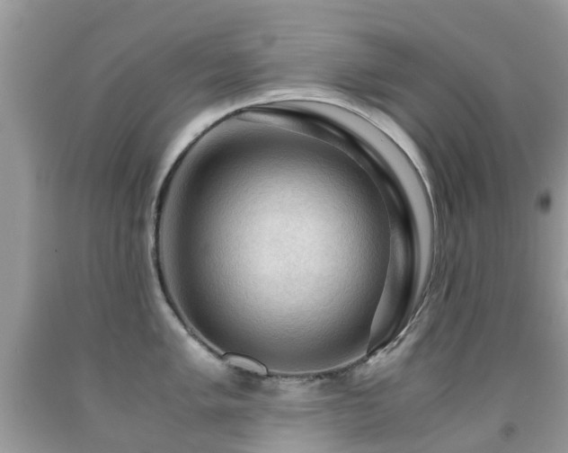 X0000092001005200709061435
