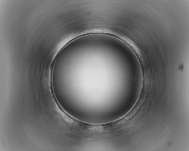 X0000092001006200709061435