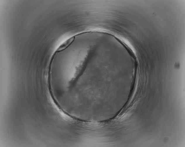 X0000092001007200709061435