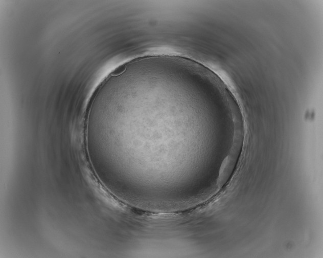 X0000092001008200709061435