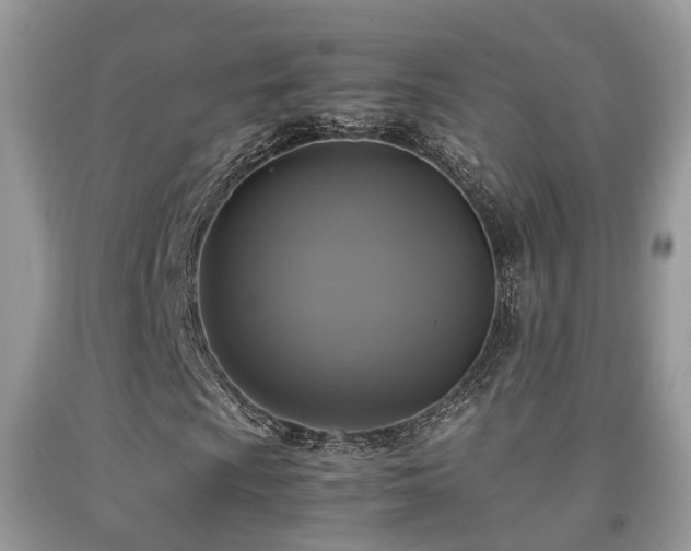 X0000092001009200709061434