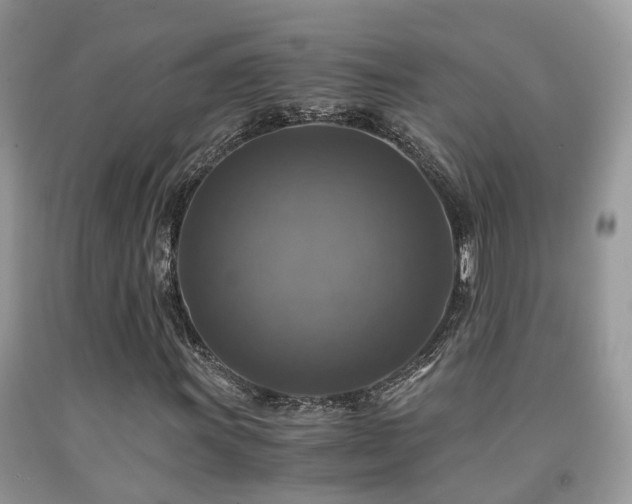 X0000092001011200709061434
