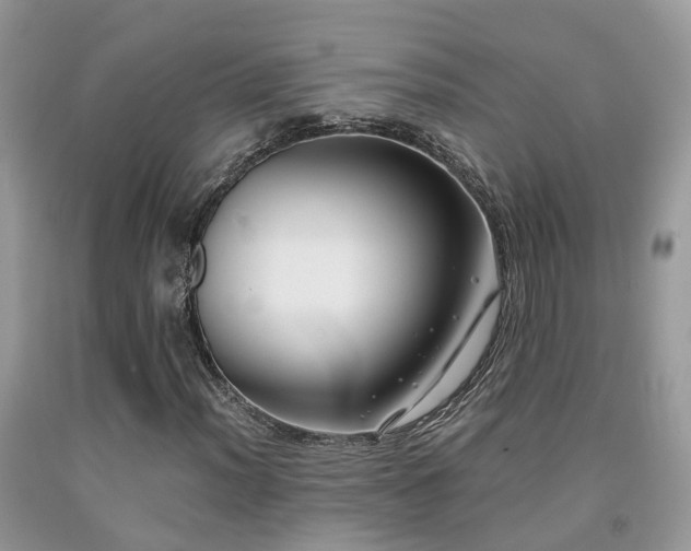 X0000092001012200709061434