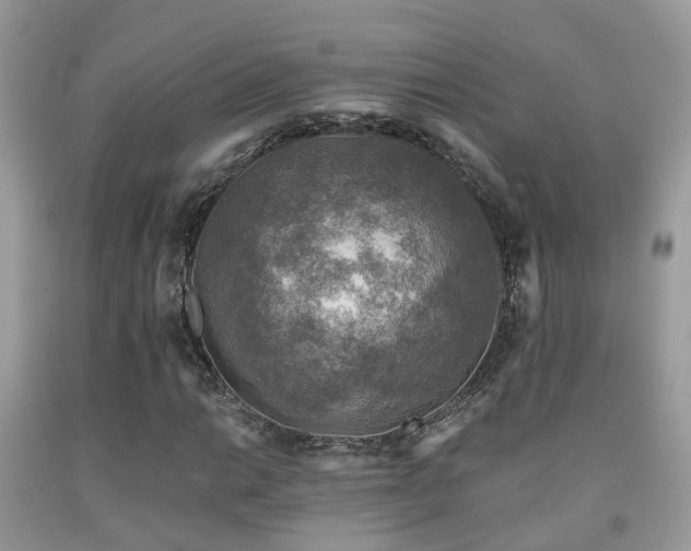 X0000092001014200709061434