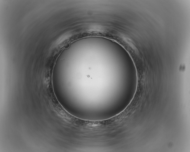 X0000092001015200709061434
