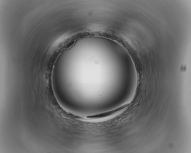 X0000092001016200709061434