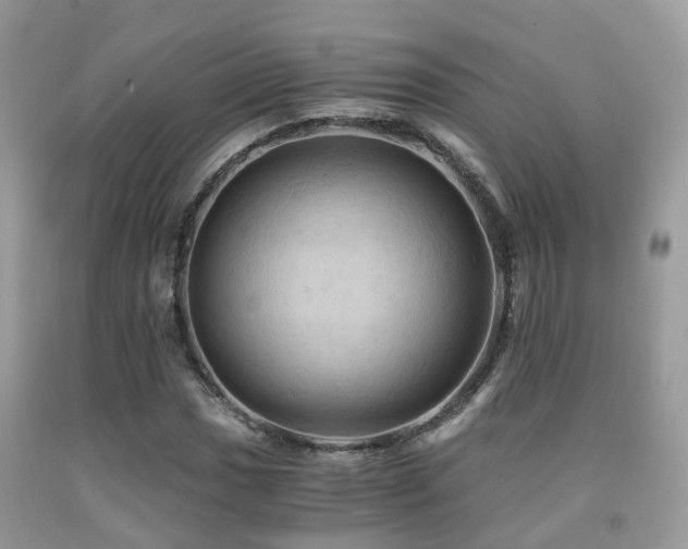 X0000092001017200709061434