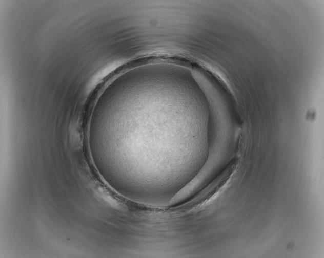 X0000092001018200709061434