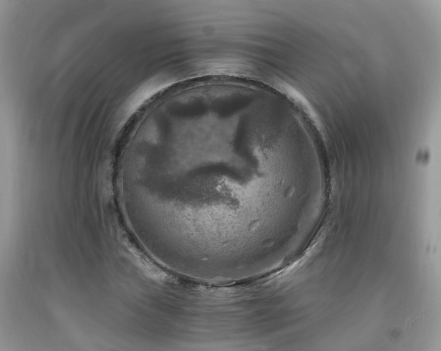 X0000092001019200709061434
