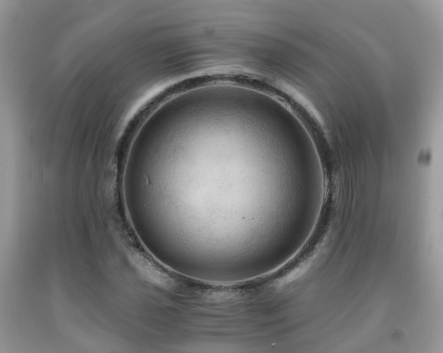 X0000092001021200709061434