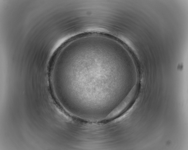 X0000092001022200709061434