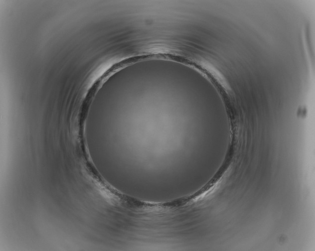 X0000092001023200709061434