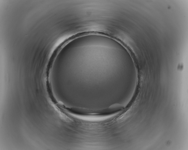 X0000092001024200709061434