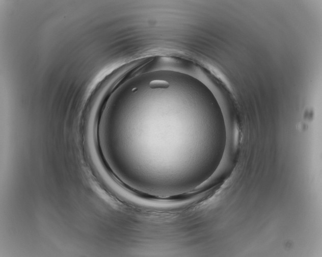 X0000092001026200709061435