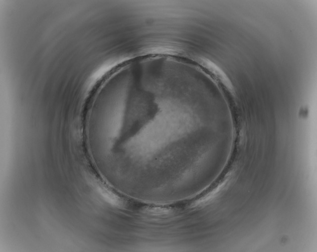 X0000092001027200709061435