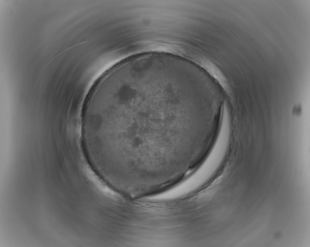 X0000092001028200709061435