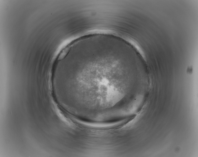 X0000092001030200709061435