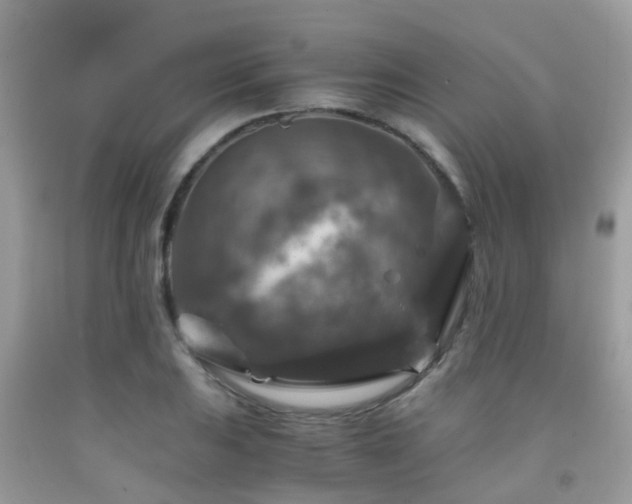 X0000092001031200709061435