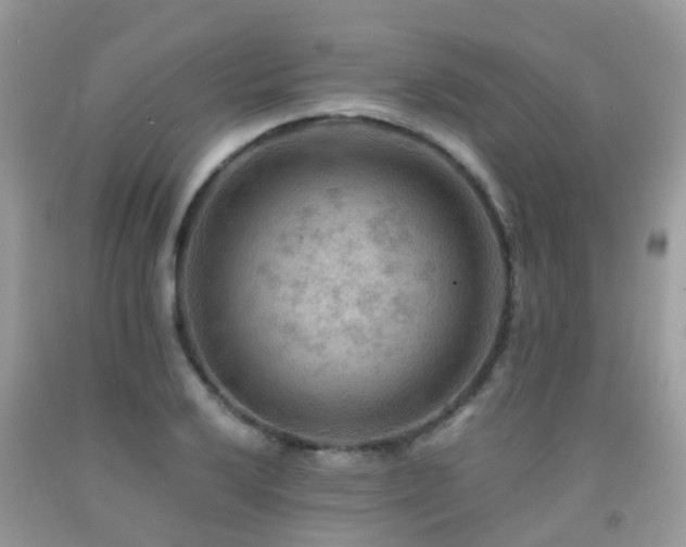 X0000092001032200709061435