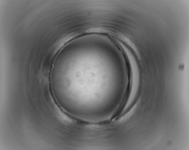 X0000092001033200709061435