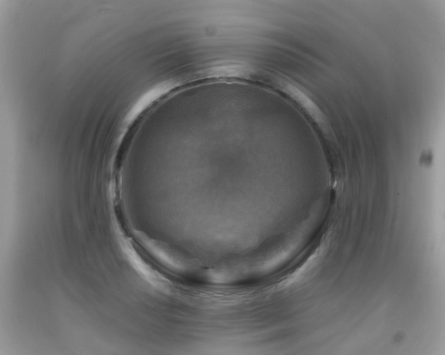 X0000092001034200709061435